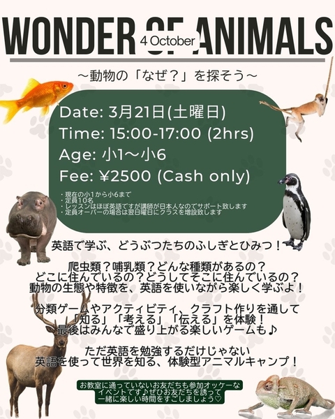 スプリングキャンプ　小学生 画像